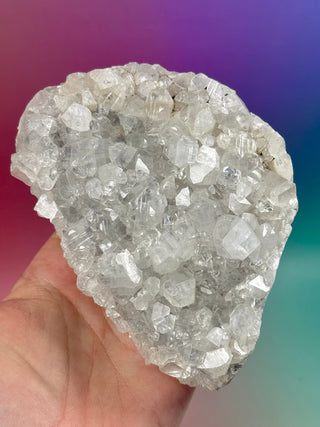 STARSEER APOPHYLLITE CLUSTER (K) Cluster The Crystal Avenues 