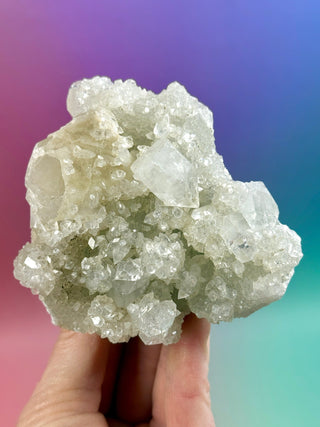 STARSEER APOPHYLLITE CLUSTER (O) Cluster The Crystal Avenues 
