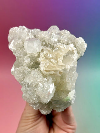 STARSEER APOPHYLLITE CLUSTER (O) Cluster The Crystal Avenues 