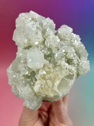 STARSEER APOPHYLLITE CLUSTER (O) Cluster The Crystal Avenues 