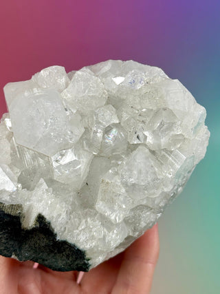 STARSEER APOPHYLLITE CLUSTER (Q) Cluster The Crystal Avenues 