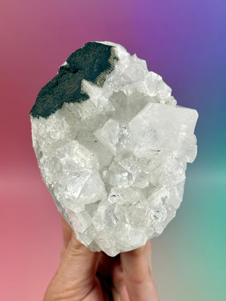 STARSEER APOPHYLLITE CLUSTER (Q) Cluster The Crystal Avenues 