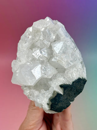 STARSEER APOPHYLLITE CLUSTER (Q) Cluster The Crystal Avenues 