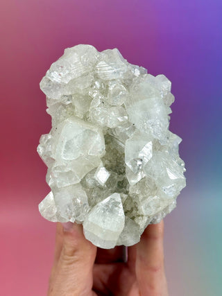 STARSEER APOPHYLLITE CLUSTER (R) Cluster The Crystal Avenues 