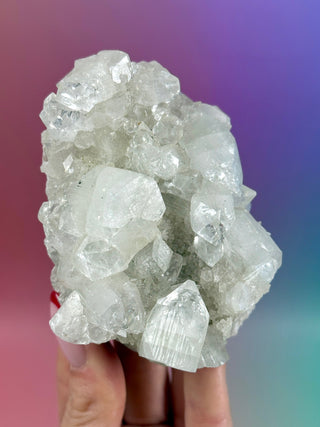 STARSEER APOPHYLLITE CLUSTER (R) Cluster The Crystal Avenues 