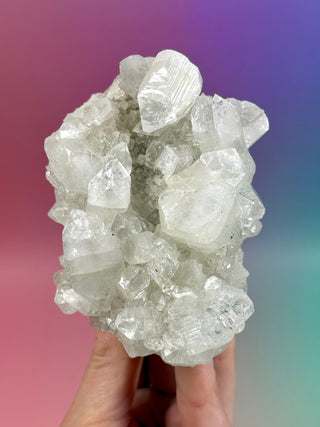 STARSEER APOPHYLLITE CLUSTER (R) Cluster The Crystal Avenues 