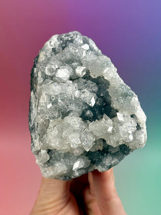 STARSEER APOPHYLLITE CLUSTER (S) Cluster The Crystal Avenues 