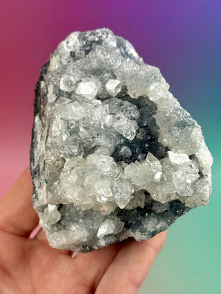 STARSEER APOPHYLLITE CLUSTER (S) Cluster The Crystal Avenues 