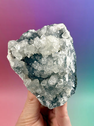 STARSEER APOPHYLLITE CLUSTER (S) Cluster The Crystal Avenues 