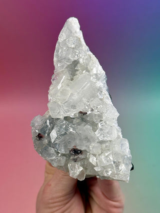 STARSEER APOPHYLLITE CLUSTER (T) Cluster The Crystal Avenues 