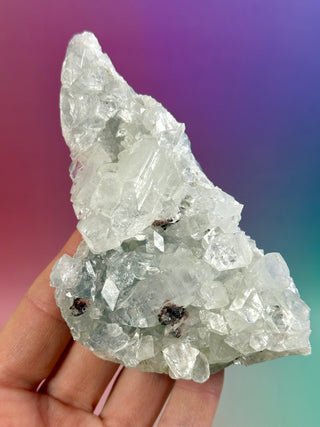 STARSEER APOPHYLLITE CLUSTER (T) Cluster The Crystal Avenues 