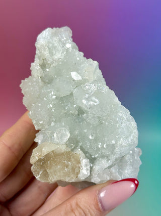 STARSEER APOPHYLLITE CLUSTER (U) Cluster The Crystal Avenues 