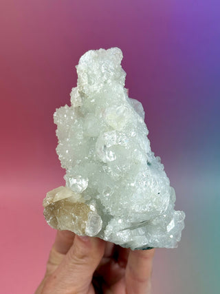 STARSEER APOPHYLLITE CLUSTER (U) Cluster The Crystal Avenues 