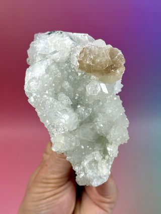 STARSEER APOPHYLLITE CLUSTER (U) Cluster The Crystal Avenues 