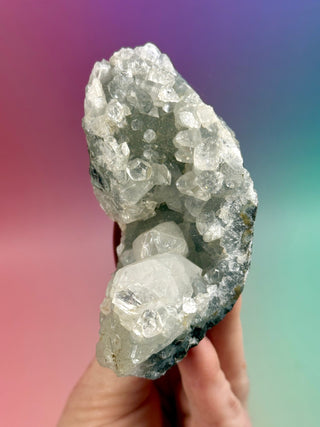 STARSEER APOPHYLLITE CLUSTER (W) Cluster The Crystal Avenues 