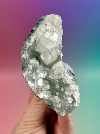 STARSEER APOPHYLLITE CLUSTER (W) Cluster The Crystal Avenues 