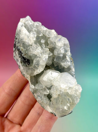 STARSEER APOPHYLLITE CLUSTER (W) Cluster The Crystal Avenues 