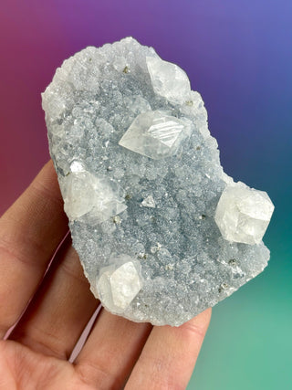 STARSEER APOPHYLLITE CLUSTER (X) Cluster The Crystal Avenues 