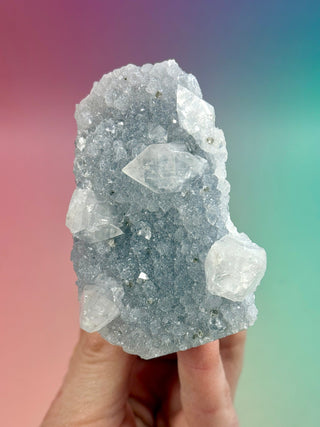 STARSEER APOPHYLLITE CLUSTER (X) Cluster The Crystal Avenues 