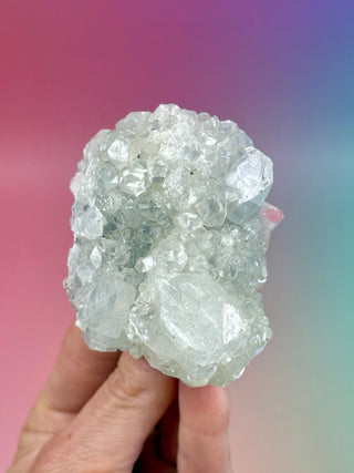 STARSEER APOPHYLLITE CLUSTER (Y) Cluster The Crystal Avenues 