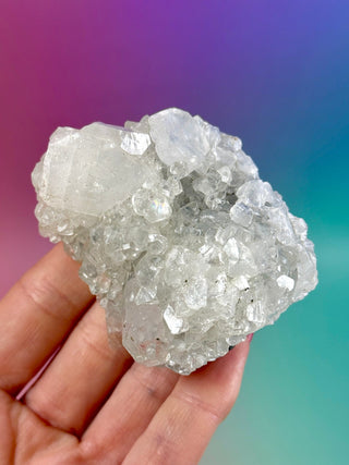 STARSEER APOPHYLLITE CLUSTER (Y) Cluster The Crystal Avenues 