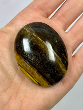 TIGER EYE PALM STONE (1) The Crystal Avenues 