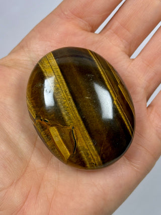 TIGER EYE PALM STONE (2) The Crystal Avenues 