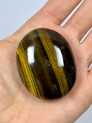 TIGER EYE PALM STONE (2) The Crystal Avenues 