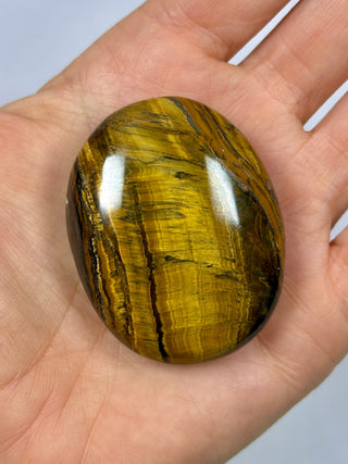 TIGER EYE PALM STONE (4) The Crystal Avenues 