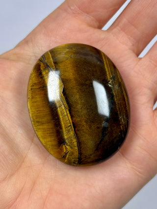 TIGER EYE PALM STONE (5) The Crystal Avenues 