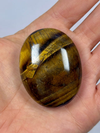 TIGER EYE PALM STONE (6) The Crystal Avenues 