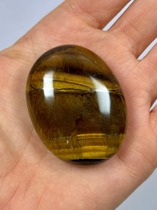 TIGER EYE PALM STONE (6) The Crystal Avenues 