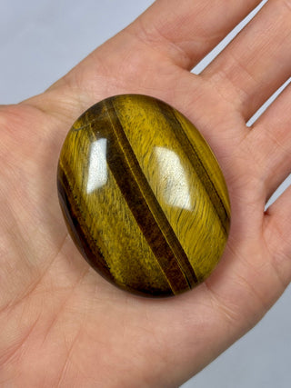 TIGER EYE PALM STONE (7) The Crystal Avenues 