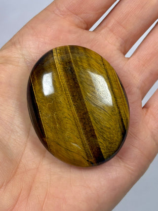 TIGER EYE PALM STONE (7) The Crystal Avenues 
