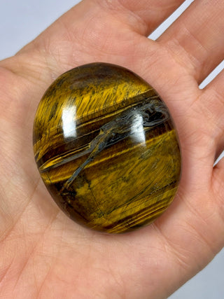 TIGER EYE PALM STONE (8) The Crystal Avenues 