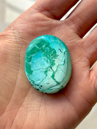 TURQUOISE CHRYSOCOLLA PALM STONE (17) tumble stone The Crystal Avenues 