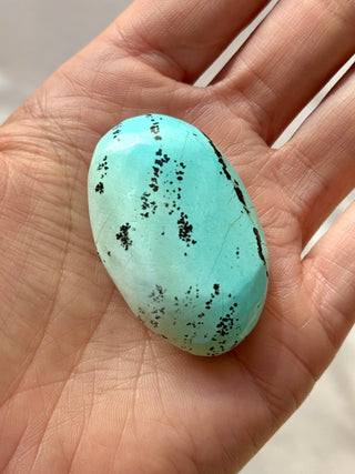 TURQUOISE CHRYSOCOLLA PALM STONE (5) tumble stone The Crystal Avenues 