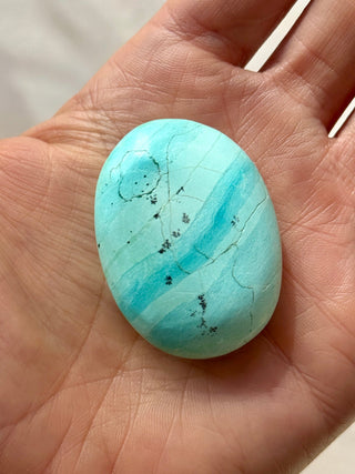 TURQUOISE CHRYSOCOLLA PALM STONE (9) tumble stone The Crystal Avenues 