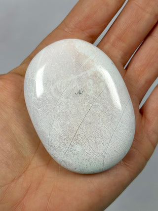 UNICORN JASPER PALM STONE (1) The Crystal Avenues 