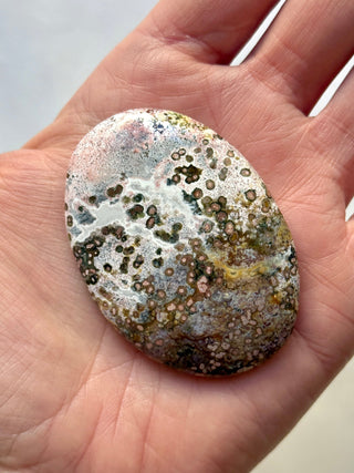 UNICORN JASPER PALM STONE (12) The Crystal Avenues 