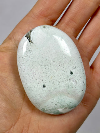 UNICORN JASPER PALM STONE (2) The Crystal Avenues 