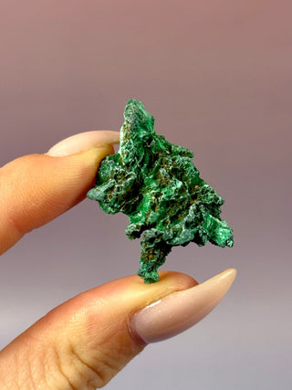 VELVET MALACHITE CLUSTER (1) tumble stone The Crystal Avenues 