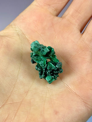 VELVET MALACHITE CLUSTER (2) tumble stone The Crystal Avenues 