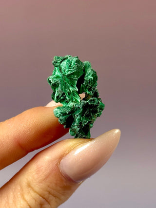 VELVET MALACHITE CLUSTER (2) tumble stone The Crystal Avenues 