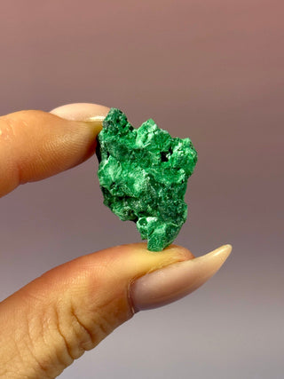 VELVET MALACHITE CLUSTER (4) tumble stone The Crystal Avenues 