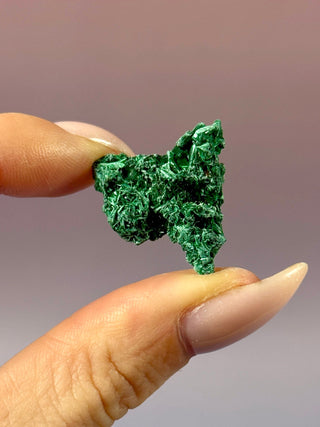 VELVET MALACHITE CLUSTER (5) tumble stone The Crystal Avenues 