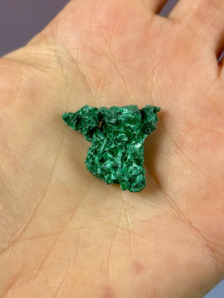 VELVET MALACHITE CLUSTER (5) tumble stone The Crystal Avenues 