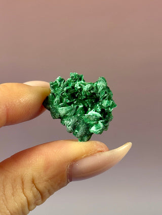 VELVET MALACHITE CLUSTER (6) tumble stone The Crystal Avenues 