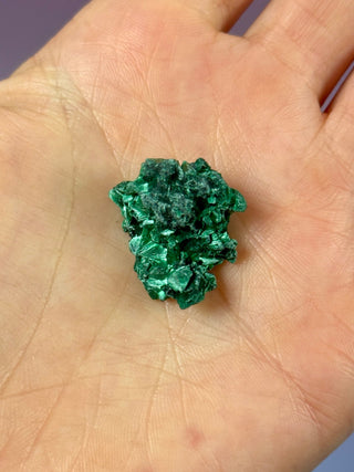 VELVET MALACHITE CLUSTER (6) tumble stone The Crystal Avenues 