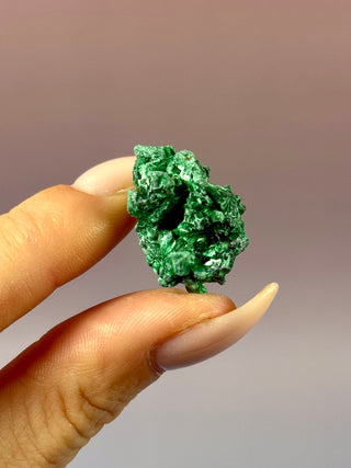 VELVET MALACHITE CLUSTER (7) tumble stone The Crystal Avenues 